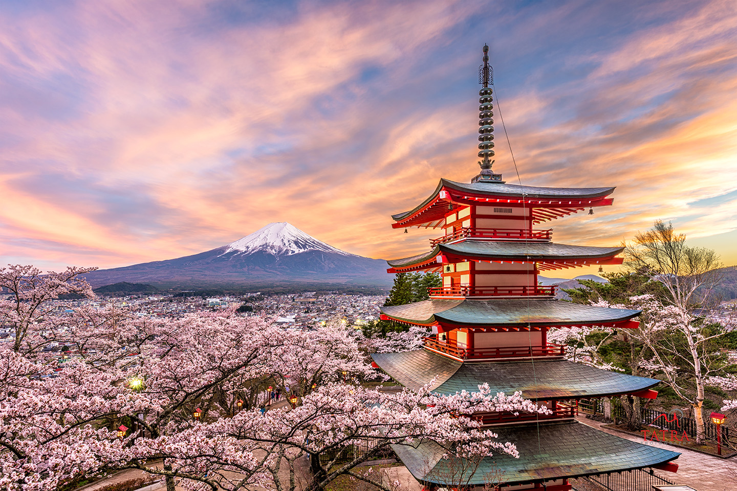 Fuji Japan in Spring - LYS TRAVEL