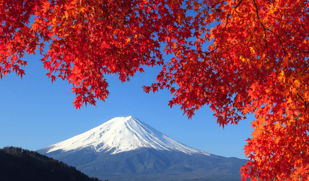 Mt.Fuji in Autumn, Japan