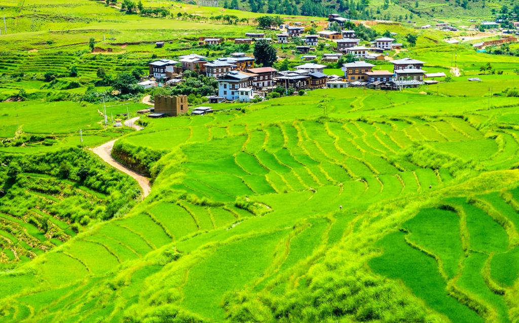 Lystravel-Bhutan-Farm-house-Paro